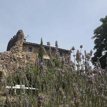Chateau De ベッド・アンド・ブレックファスト Pieusse